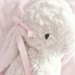 ୨୧lovey୨୧