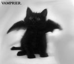 vvamprier