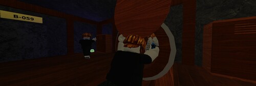 Rooms: The forgotten Sections