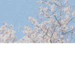 angelss*