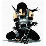 The Sacred  Ninjas