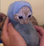 ZBG REMASTERED