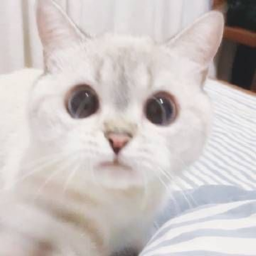 :3