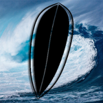 Shoreline | Surf Shop