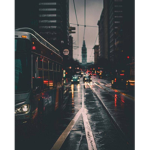 -The Species-