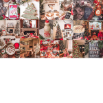 ems holiday