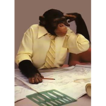 All Star Amigos