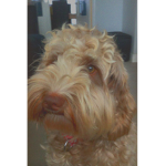 Macey<3