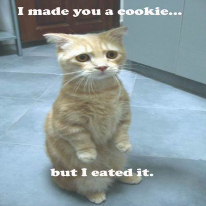 FUNNY CAT Roblox decal