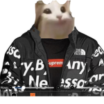 pop cat clothing studio