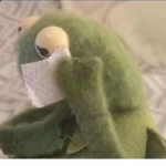 Kermits frogs