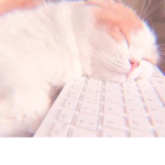 Soft~