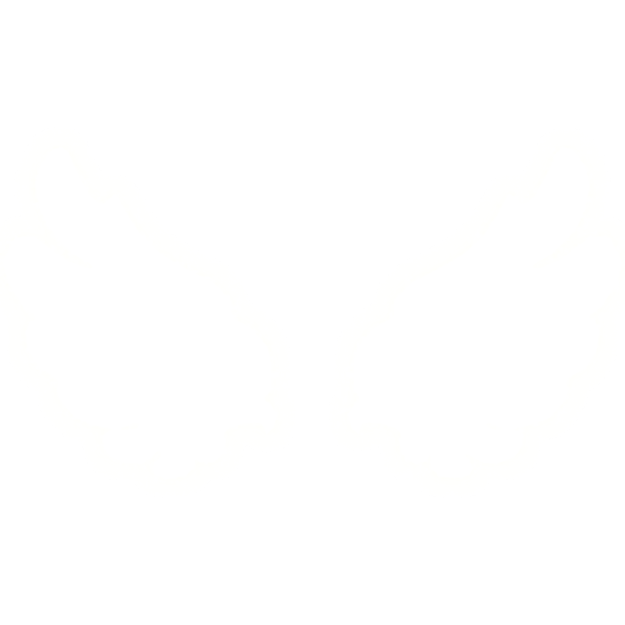 Cute Glow Angel Wings