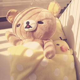 guess : T