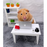 L'Hamster-ijou
