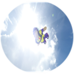 You went skydiving