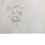 !!LLAMA GROUP!!