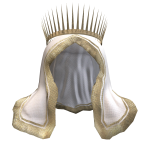 Risen King's Hood