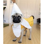 Pugnana Productions
