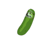 Pickle Chomik