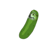 Pickle Chomik
