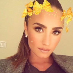 Merch Store - Demi Lovato On Tour