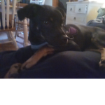 ROXY,S