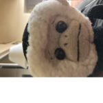 NeverGonnaTellALie