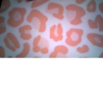 Boba sqaud :))