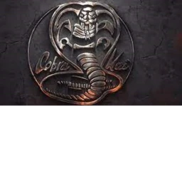 Cobra Kai icon