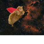 Crazy Cosmic Cats