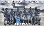Nederlandse Dienst Speciale Interventies