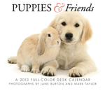 Which do you like best!?! Puppies or Bunnys!! :D