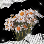 < . D A I S I E . >