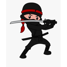 Ninja Training