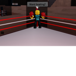 Anime fighting fans