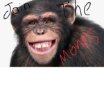 Monkey Cult :/