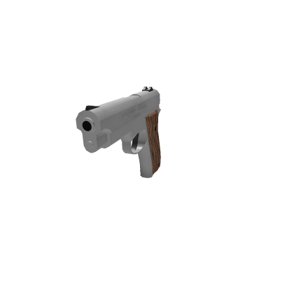 Gun Package