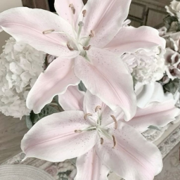 ♡
