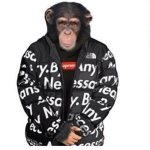 The Drip Monke.