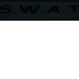 Swat group: Training