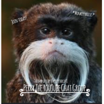 Perry YouTub chat Group