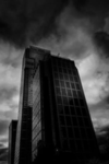 The corp.