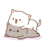 animal love tow