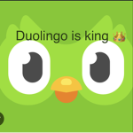 Duolingo fans