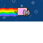 Neon Cat Fan Group