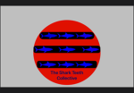 Shark Teeth Collective (STC)