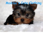 Maddie's Cute Clothing