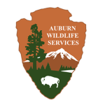 Auburn Department of Wildlife Services