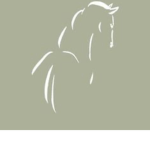 Wild West Riding Academy